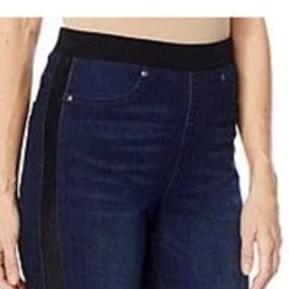 DIANE GILMAN-PULL ON STYLE JEANS w/FAUX LEATHER TRIM  3X PLUS NWT - Picture 3 of 15